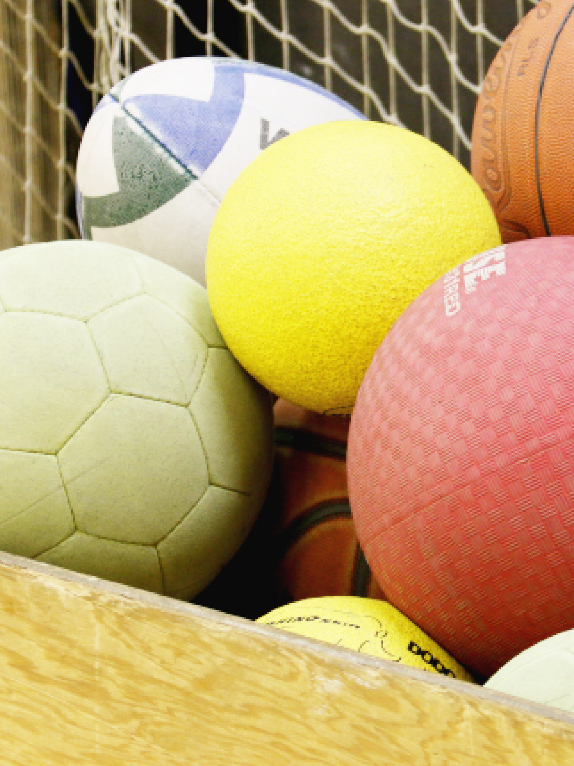 teen-sport-portal-image-basket-of-sports-balls