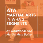 ATA Martial Arts: In Wha 2 Segments