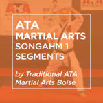 ATA Martial Arts: Songahm 1 Segment