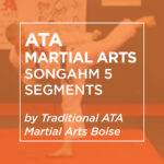 ATA Martial Arts: Songahm 5 Segments