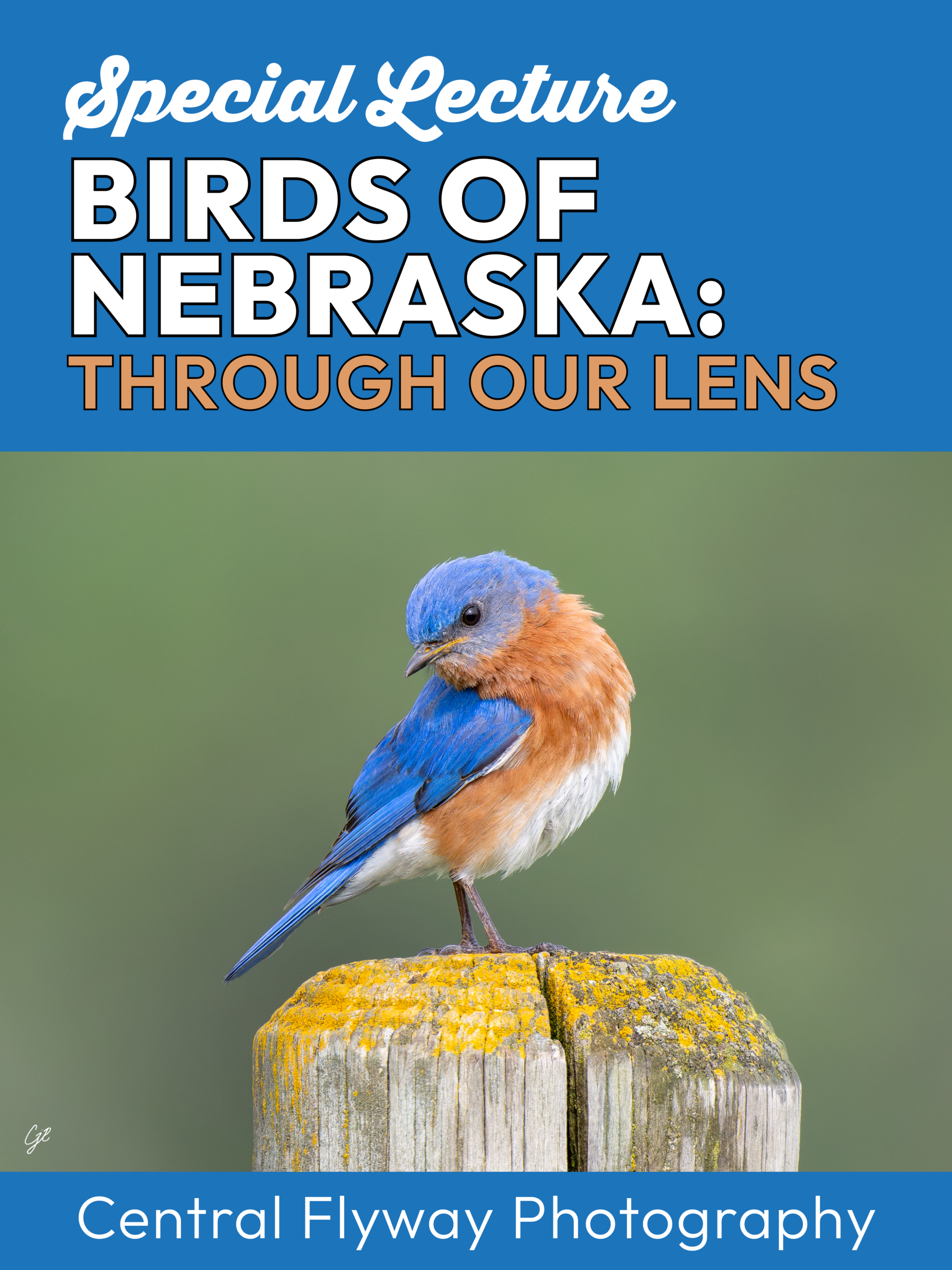 JCC - Birds of NE Lecture web